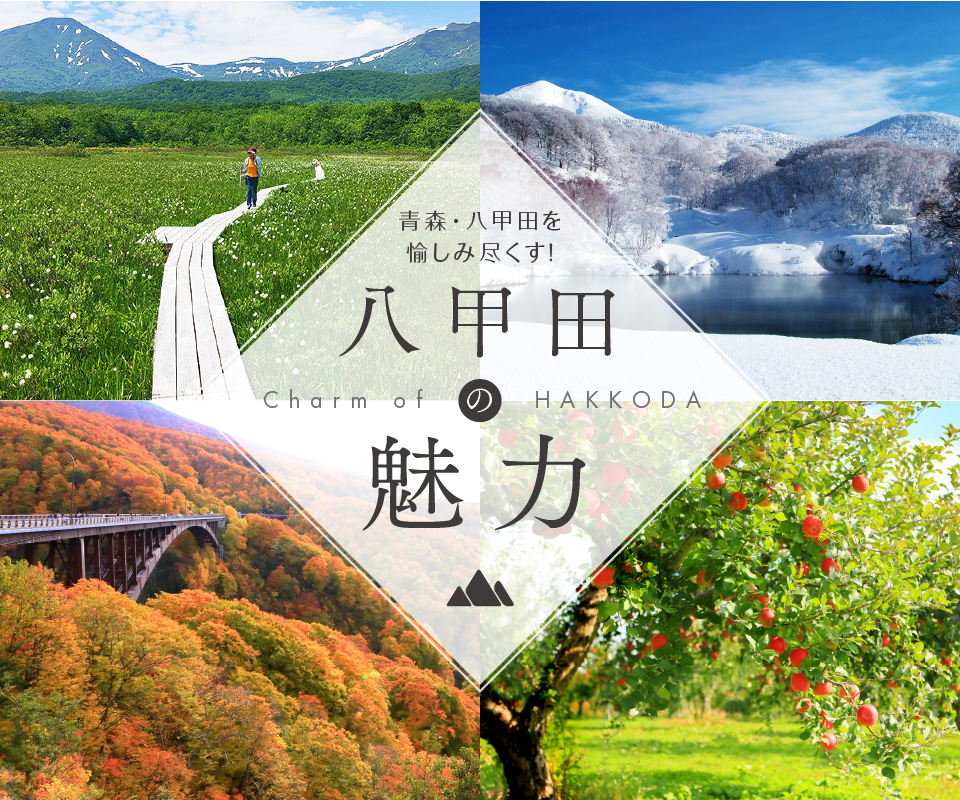 メインビジュアル1