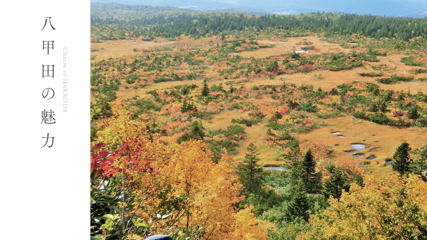 八甲田の魅力 Charm of HAKKODA