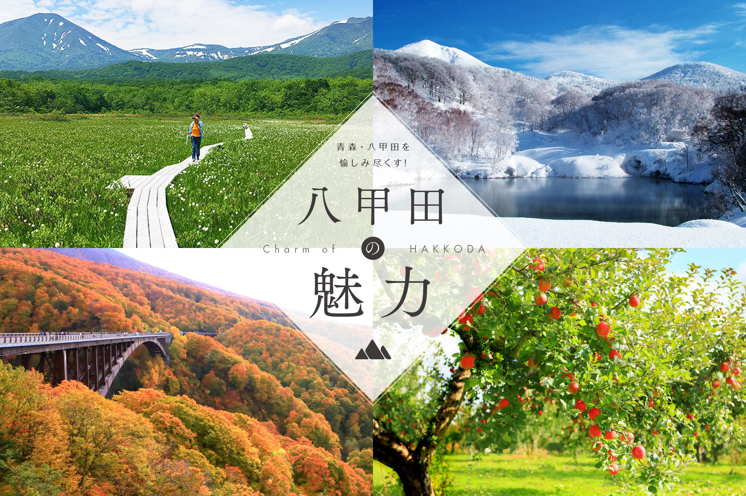 メインビジュアル1