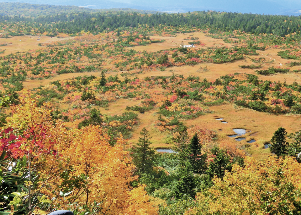 八甲田の魅力 Charm of HAKKODA
